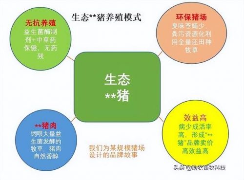 广西草类品种排名前十(广西野生植物大全图)插图36