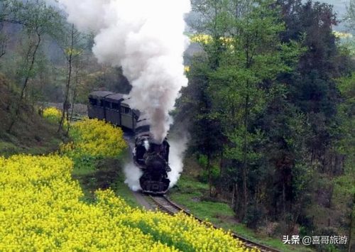 乐山排名前十景区(乐山适合一日游的景点)插图8