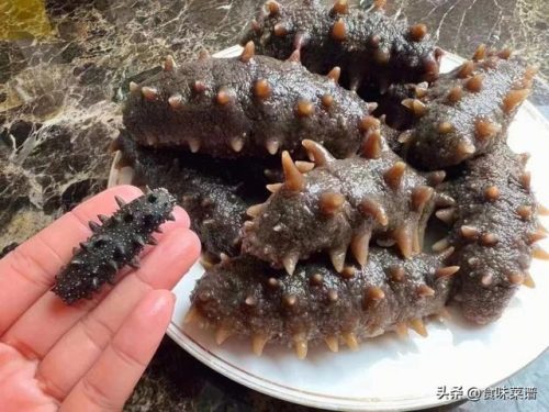 海参十大排行榜(长岛海参十大名牌)插图