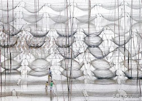 福建海鲜海港排名前十(海港大叔海鲜价格太高)插图35