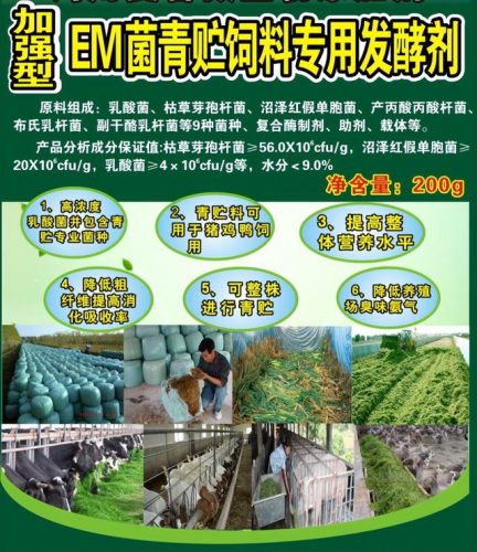 广西草类品种排名前十(广西野生植物大全图)插图35