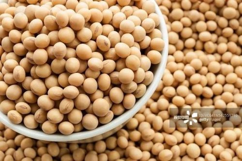豌豆排行榜(哪个牌子的青豌豆好吃)插图