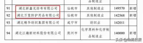 仙桃知名企业排行榜(仙桃最大的10大企业)插图2