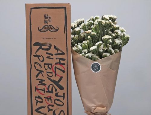 婚庆连锁加盟店排行榜(喜糖铺子加盟首选品牌)插图10