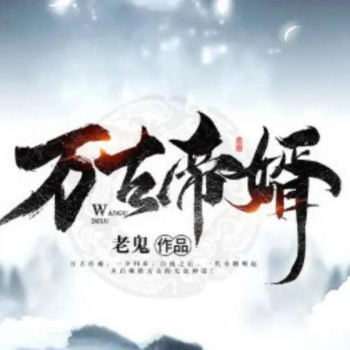 世界最好赘婿排名前十(赘婿完本了吗)插图