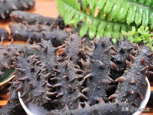 海参十大排行榜(长岛海参十大名牌)插图9