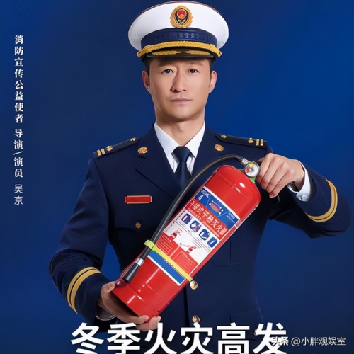 各国国民明星排名前十(国民素质排名)插图22