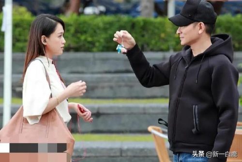 最美爱国港姐排名前十(公认最美的十大港姐)插图4