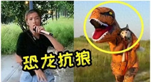没内涵总排行榜2017(内涵段子巅峰的时候多少人)插图