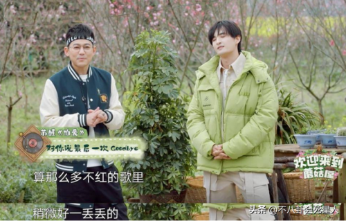 旅行真人秀节目排行榜(明星去国外旅游的综艺)插图15