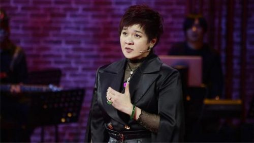 最差天赋歌手排名前十(靠技术和靠天赋的歌手)插图5