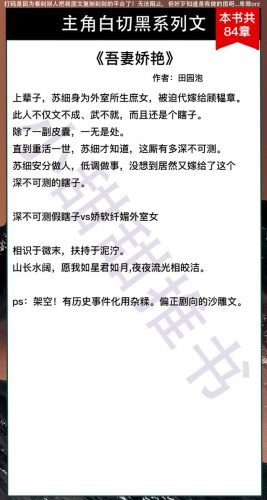 主角腹黑小说排行榜(好看的腹黑小说推荐超经典)插图7