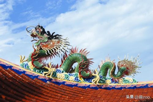 舞龙排行榜(舞龙叫什么名字最好)插图7