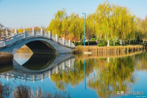 济宁旅游景点排行榜(济宁游玩十大景点推荐)插图22