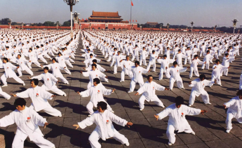 功夫排行榜前十名(中国十大武术排名)插图1