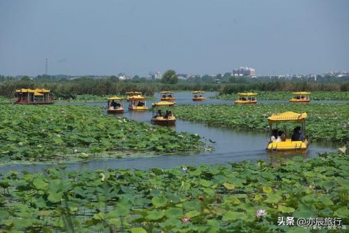 济宁旅游景点排行榜(济宁游玩十大景点推荐)插图4