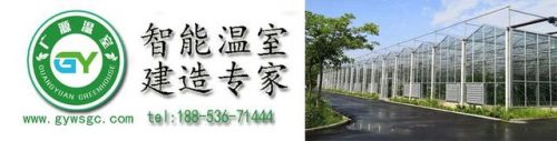 暖棚种植品种排名前十(适合大棚种植的花有哪些)插图12