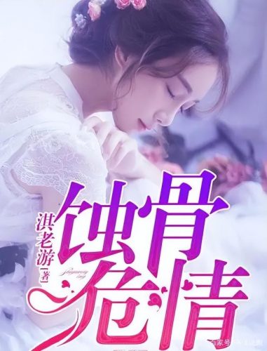 言情排行榜小说前十名(最火言情十大完结小说)插图