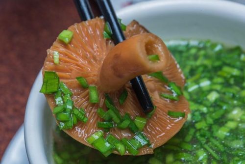 昆明菌类餐饮排名前十(云南最好吃的菌类排名)插图32