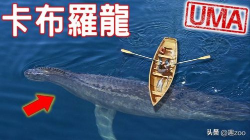 全球恐怖物种排名前十(全球数量最多的物种)插图5