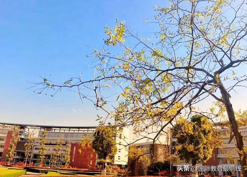 南京外籍学校排名前十(北京民办小学学校排名)插图7