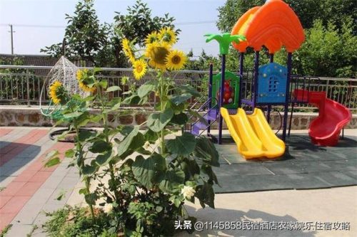 九山顶农家院排行榜(九山顶农家院排名报价100元)插图20