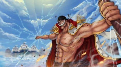 海贼王同人小说完结排行榜(主角穿越成为海贼之中的主角)插图7