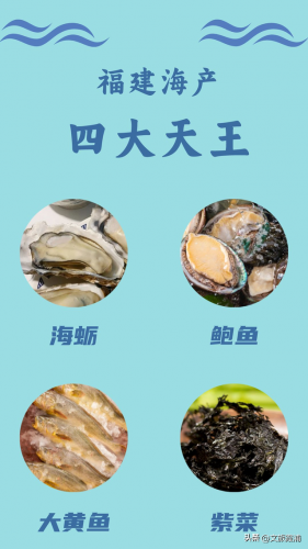 福建海鲜海港排名前十(海港大叔海鲜价格太高)插图1