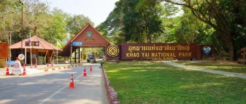 泰国旅行景点排名前十(去泰国旅游必去的地方)插图11