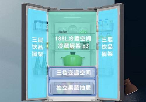 冰箱前十名排行榜(十大公认最好用的冰箱)插图8