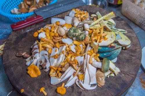昆明菌类餐饮排名前十(云南最好吃的菌类排名)插图20