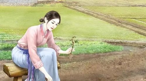 丑女小说排行榜前十名(现代十大丑女名字)插图4