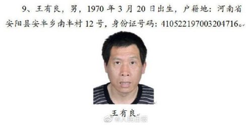 中国通缉犯排行榜2017(中国最漂亮女通缉犯)插图8