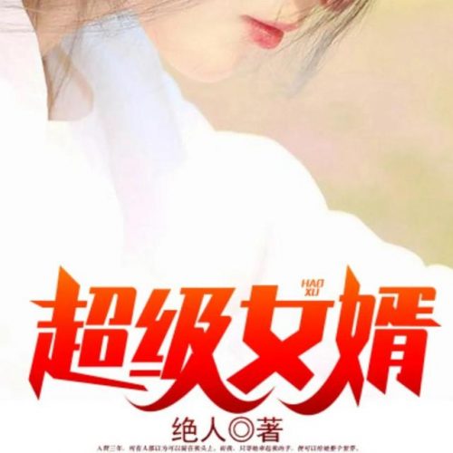 世界最好赘婿排名前十(赘婿完本了吗)插图5