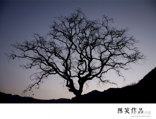 光影摄影培训排名前十(全国十大著名摄影培训机构)插图9