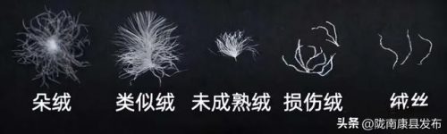 女羽绒服品牌排行榜(全球公认十大顶级羽绒服品牌)插图3