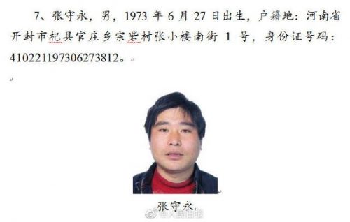 中国通缉犯排行榜2017(中国最漂亮女通缉犯)插图6