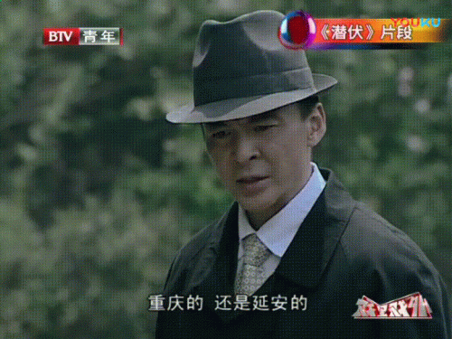 中国最经典的十大谍战剧排行榜(十大谍战片排名)插图33