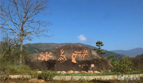 产地茶叶价格排名前十(云南十大名茶排名)插图9