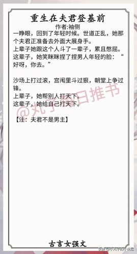 好看小说排行榜女生版(10大点击率最高的小说)插图8