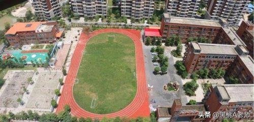 钦州河东小学排名前十(河东区所有小学排名)插图1