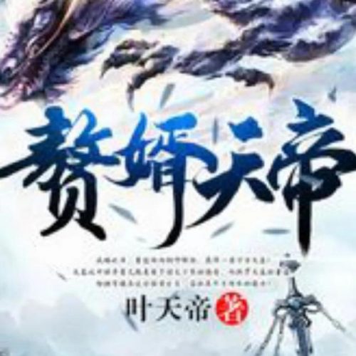 世界最好赘婿排名前十(赘婿完本了吗)插图8