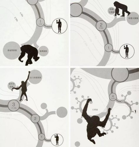 生物海外博士排名前十(全国排名前十的生物菌肥)插图2