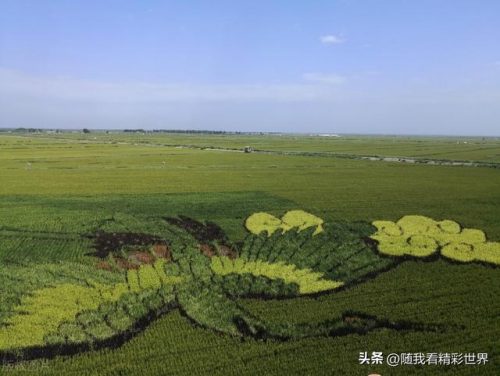盘锦正规旅行社排行榜(营口口碑好的旅行社)插图4