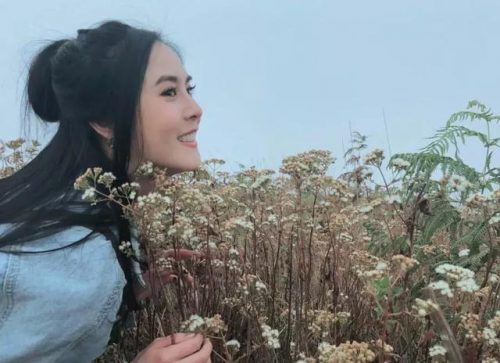 泰国一线女明星排行榜(泰国公认的十大美女明星)插图12