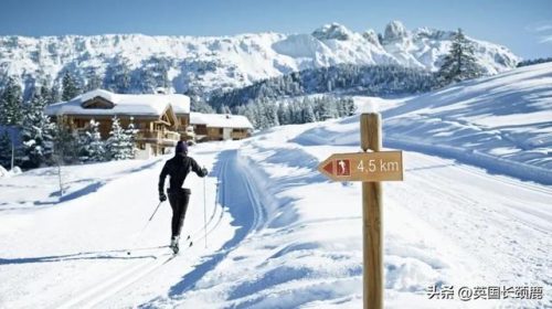 欧洲滑雪壮举排名前十(德国滑雪)插图16