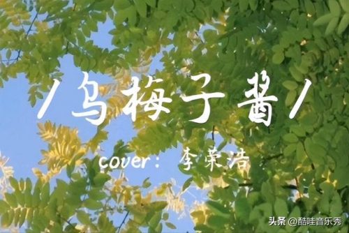 排行榜舞曲(最好的舞曲)插图