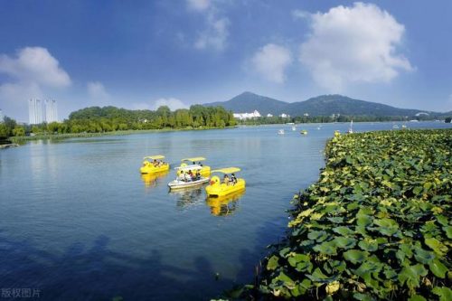 南京旅游景点排行榜(南京旅游需要提前预约的景点)插图33