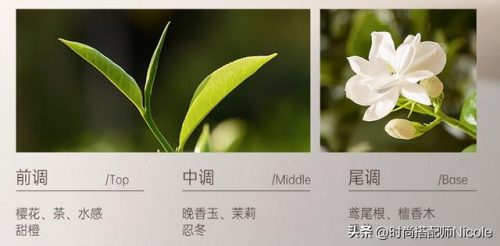 好用洗发水品牌排行榜(十大公认最好的洗发水)插图19