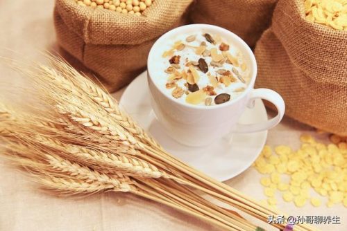 中老年燕麦片品牌十大排行榜(燕麦片的价格多少钱一斤)插图